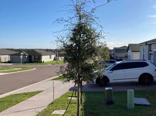 Bush Trimming by Jay Jackson for Beverly B. in Davenport, FL