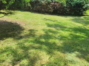 Bush Trimming by Charlie Burns for Samantha G. in Virginia Beach, VA