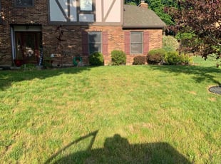 Bush Trimming by Austin Wills for Jennifer T. in Dayton, OH