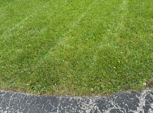 William C.'s Lawn Maintenance service result
