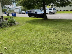 Trang S.'s Grass Cutting service result