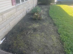 Weeding by Dominik Duncan for Kaitlyn S. in Cincinnati, OH