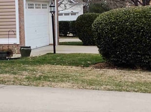Leaf Removal by Vincent Guzman for Justin D. in Midlothian, VA