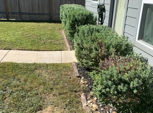 Landscaping by John David Ledesma for Jade J. in San Marcos, TX