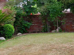 Bush Trimming by William Aguilar for Robert E. in San Dimas, CA