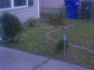 Sherri K.'s Flower Bed Weeding service result