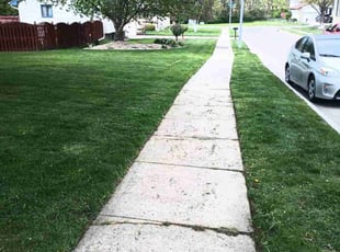 Kurt W.'s Lawn Maintenance service result