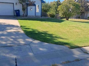 Trina A.'s Lawn Mowing Service service result