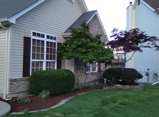 Bush Trimming by Daniel Eplett for Lakesha W. in O'Fallon, MO