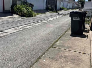 Cleanups by Felix Alejos for Yolanda R. in Elmwood Park, IL