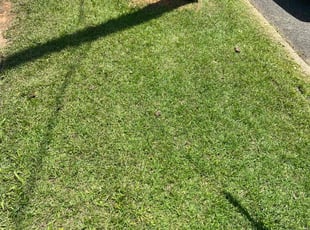 Randolph J.'s Lawn Service service result