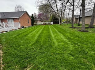 Chris C.'s Lawn Mowing service result