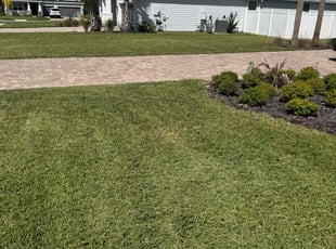Ben R.'s Lawn Mowing service result