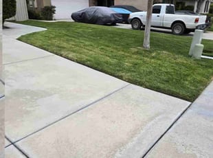 Andrew B.'s Lawn Mowing service result