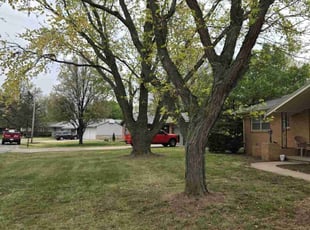 Leaf Removal by Chad Suenram for Jeffrey S. in Wichita, KS