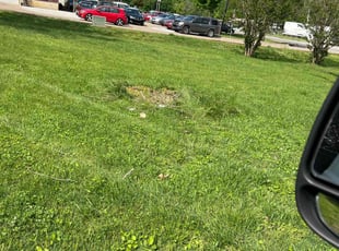 Cleanups by Justin Hutchison for Emily S. in Goodlettsville, TN