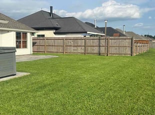 Steven B.'s Grass Cutting service result