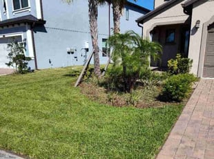 jim s.'s Lawn Mowing service result
