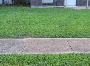 Hollie C.'s Yard Cutting service result