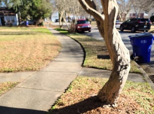 Cleanups by Ashton Muslimani for Delores W. in Norfolk, VA