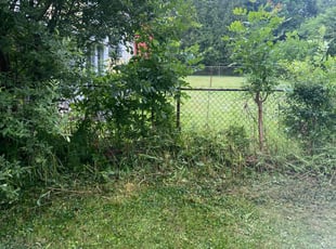 Cleanups by James Serio for Steven P. in Rochester, NY