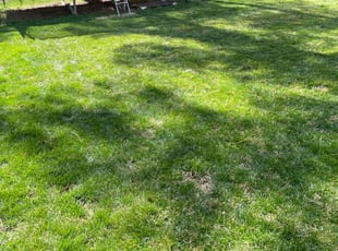 Leaf Removal by Duff Resources for Johanna C. in Glen Allen, VA