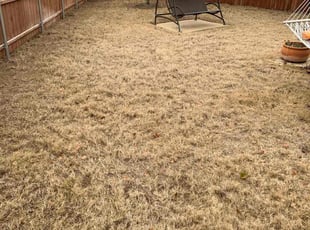 Cleanups by Alonso Sandoval for Judy D. in Joshua, TX