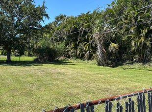 Mario C.'s Lawn Mowing service result