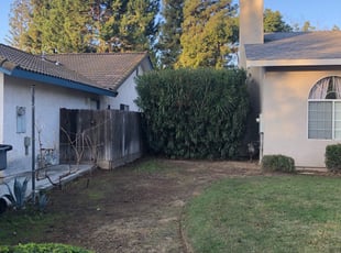 Bush Trimming by Johnie Parker for Jamie D. in Fresno, CA
