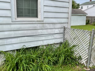 Bush Trimming by Taijuan Mitchem for Doug S. in Louisville, KY