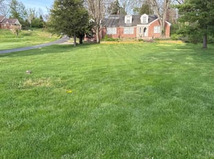 Annabelle R.'s Grass Cutting service result