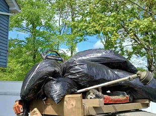Leaf Removal by Vanessa Harisi for Cassandra W. in Waterbury, CT