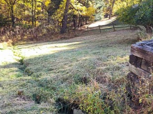 Nazdar Y.'s Lawn Service service result