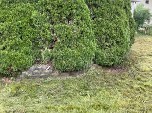 Cleanups by Michael Sutton for Erick C. in Columbus, OH