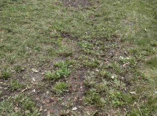 Cleanups by Steven Pearson for Cindy W. in Minneapolis, MN