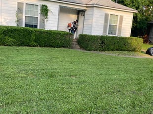 Bush Trimming by Simon Sanchez Jr for Don G. in Dallas, TX