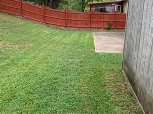 Stephen B.'s Lawn Mowing Service service result