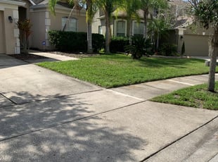 Bush Trimming by Mike Stuber for Aleida M. in Orlando, FL