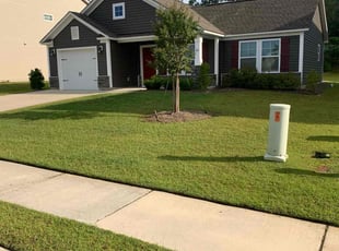 Michele R.'s Lawn Care service result