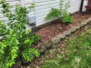 Weeding by Chad Mann for Robin H. in Indianapolis, IN