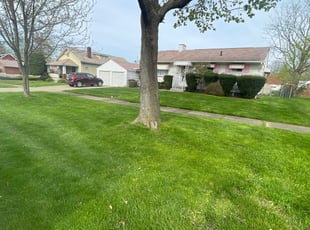 Leaf Removal by Ryan Perry for Vinson C. in Akron, OH