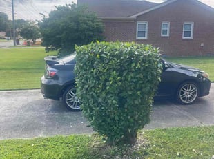 Bush Trimming by Bryan Oren for Michael F. in Chesapeake, VA