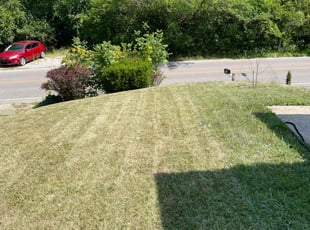 Linda C.'s Lawn Care service result