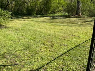 Frances D.'s Yard Cutting service result
