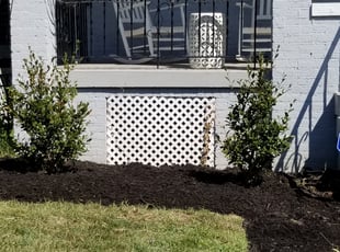 Weeding by Rumzy Mamodesene for Tim S. in Washington, DC