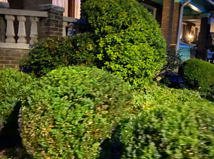 Bush Trimming by Jarell Tucker for Nickolaus M. in Washington, D.C., DC