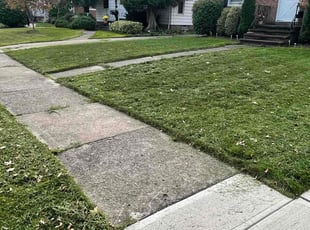 Paula H.'s Lawn Mowing service result