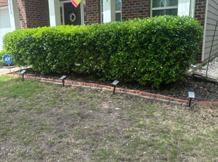 Bush Trimming by Khalid Muhammad for Deanna A. in Durham, NC