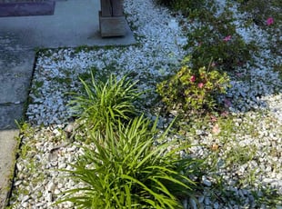 Weeding by Aldo Vega for Alvanisha F. in Gonzales, LA