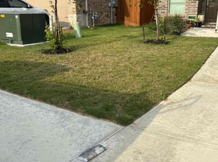 Weeding by JC Cruz for Homer C. in San Antonio, TX